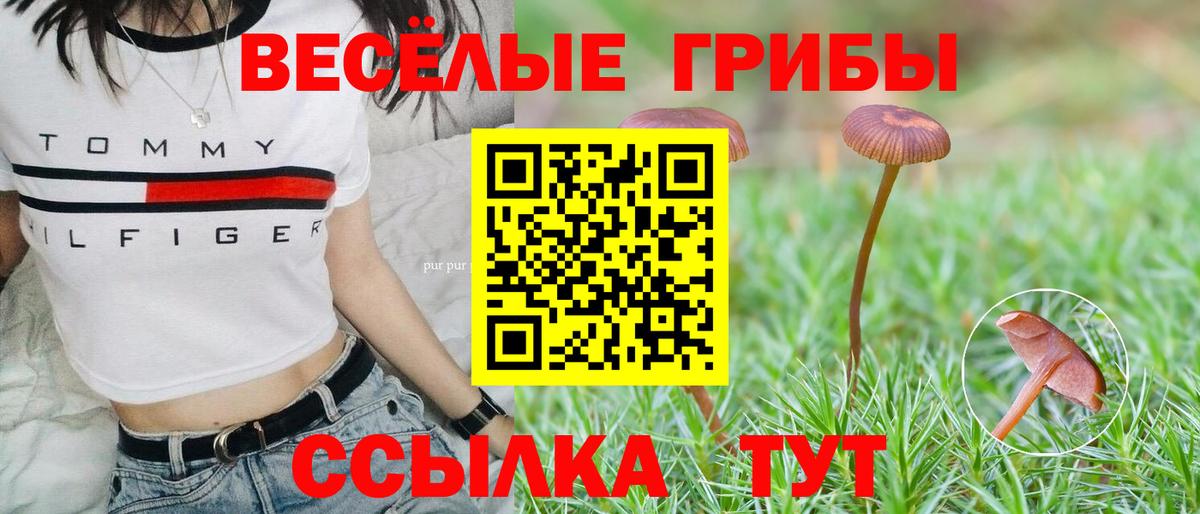 купить  цена  Вход с VPN  Большой Камень  Галлюциногенные грибы прущие грибы 